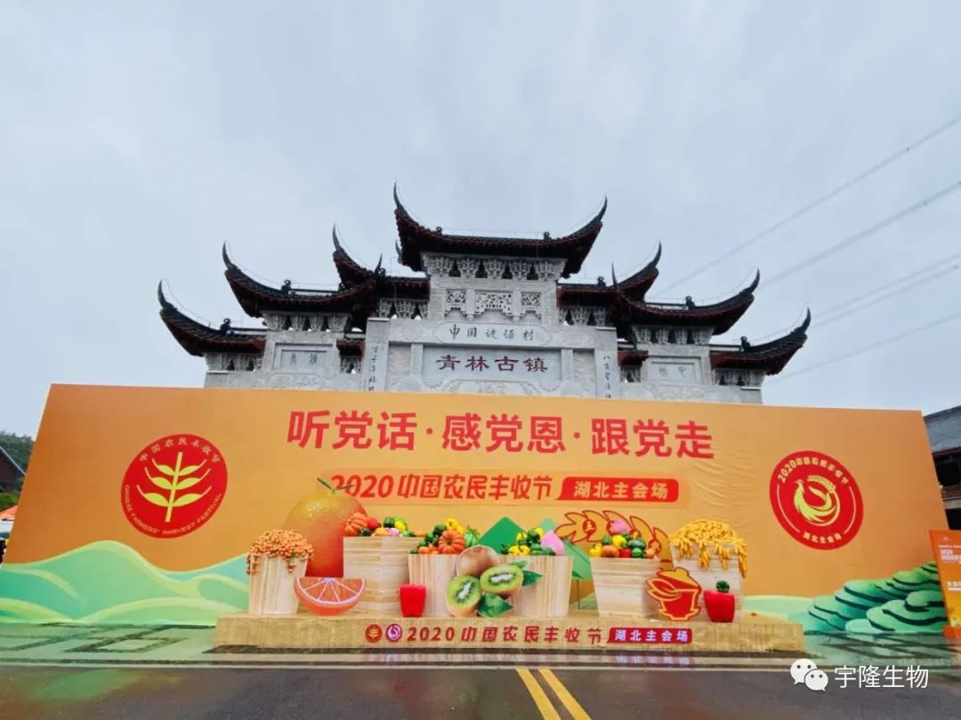 153506492.jpg 001.jpg