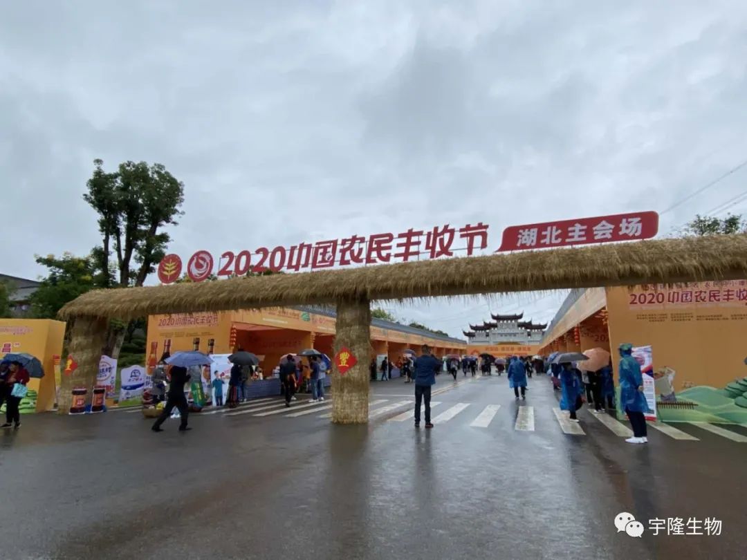 153520420.jpg 002.jpg